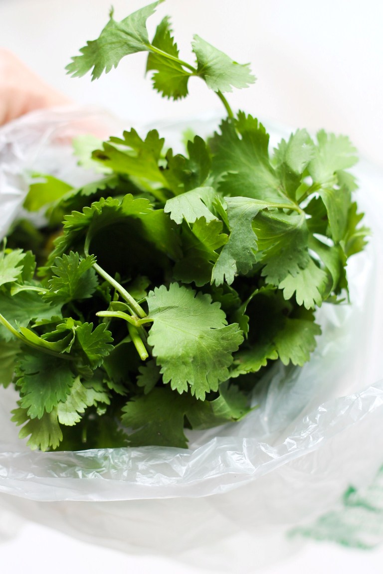 Bag of fresh bright green cilantro