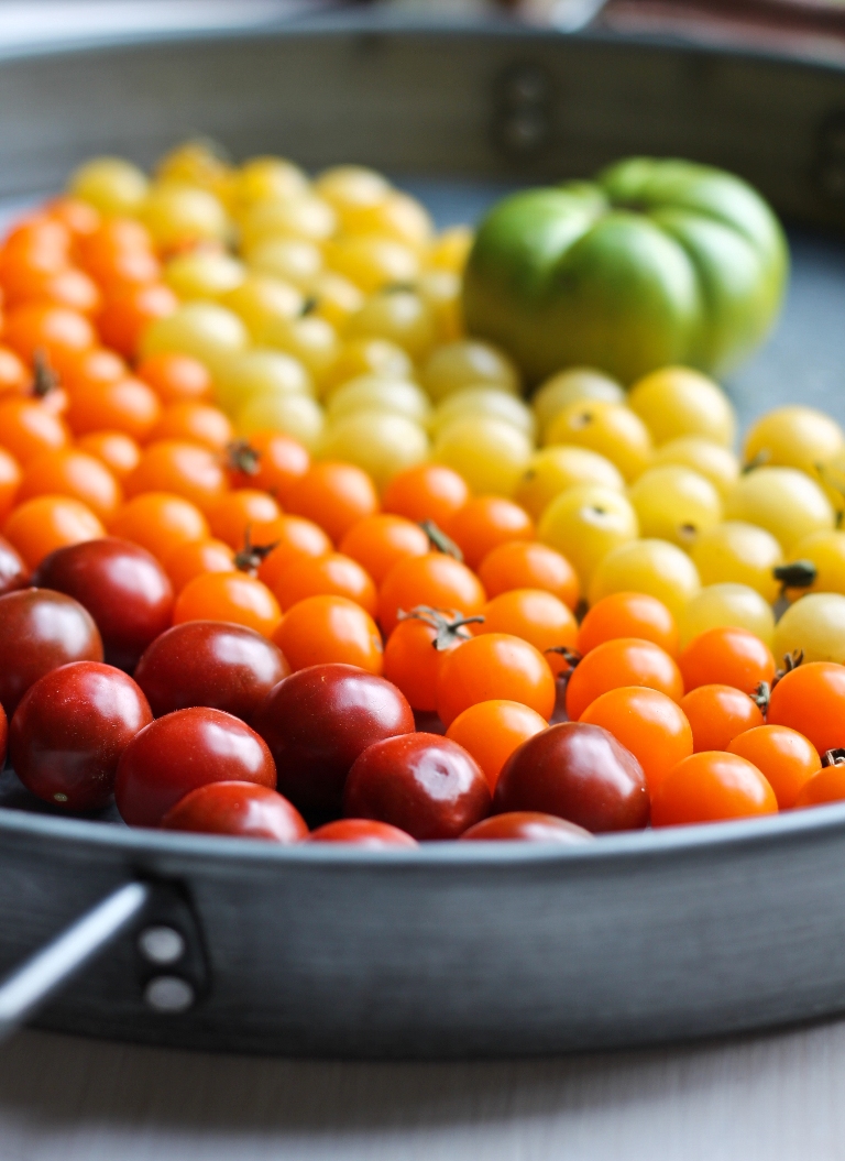 Silver tray of red orange yellow tomatoes