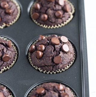 Tray just baked vegan chocolate zucchini muffins
