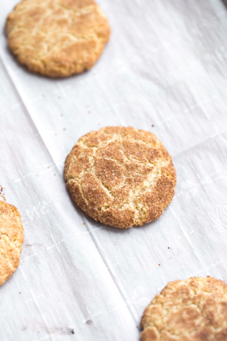 vegan-snickerdoodles-gluten-free